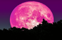 La Luna Rosa de Abril 2023 | Shutterstock