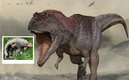 La garra se parece a la de un dinosaurio. (Foto: EFE/ Especial)