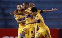 Tigres se llevó el triunfo con golazo de Quiñones. (Foto: Mexsport)