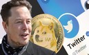 @DogecoinRide