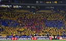 Los Libres y Lokos no estarán en el Repechaje. (FOTO: Imago7)