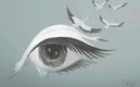 Test visual ojo
