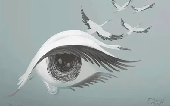 Test visual ojo