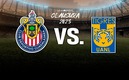 Chivas jugará la Final contra Tigres (Foto: Especial)