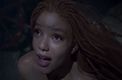 Halle Bailey será la actriz de la nueva película de "La Sirenita" | Disney