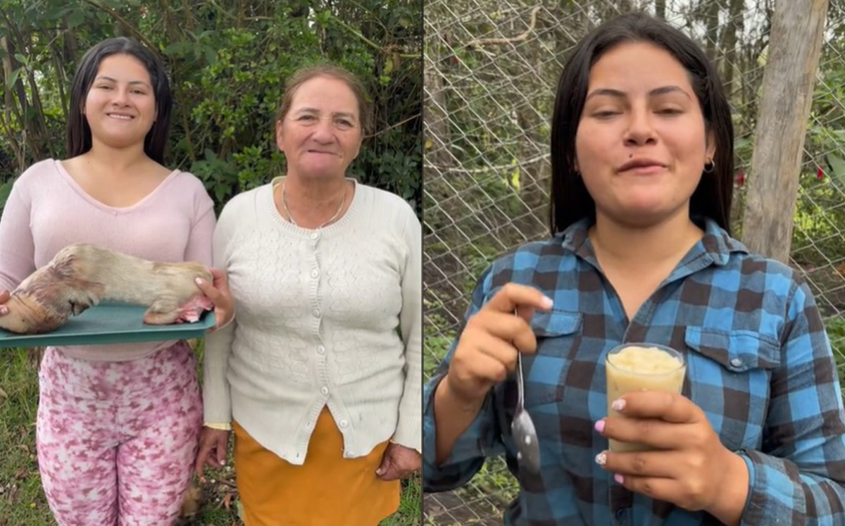 Receta de gelatina hecha de patas se viraliza y genera polémica