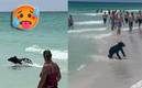 El oso no dudó en lanzarse al mar para darse un chapuzón ante el calor incesante. Foto: (Especial)