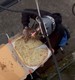 Repartidor se hace viral por comer rebanada de pizza y después acomodarla. VIDEO
