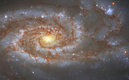 Esta galaxia, también llamada LEDA 54097 o AGC 550017, se ubica en la constelación de Libra .