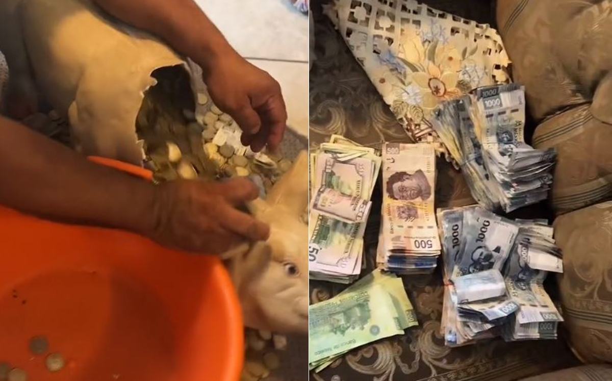 La alcancía de un hombre se volvió viral por todo el dinero que juntó (TikTok)