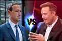Elon Musk vs. Mark Zuckerberg (Foto: @liliayala8789)