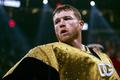 A Canelo sólo le faltó el KO (EFE)