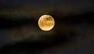 Luna nueva (Foto. IAC)