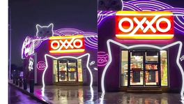 Michi Oxxo (FOTO:@Indie5051)
