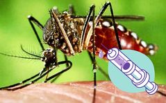 Estados Unidos aprueba vacuna contra Chinkunguya