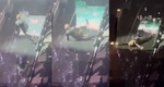 Luis Miguel sufrió un resbalón en pleno escenario (Captura)