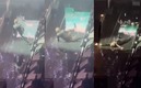 Luis Miguel sufrió un resbalón en pleno escenario (Captura)