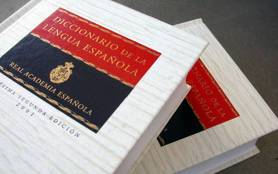 La RAE realizó 3,836 modificaciones al Diccionario de la Lengua Española (EFE)