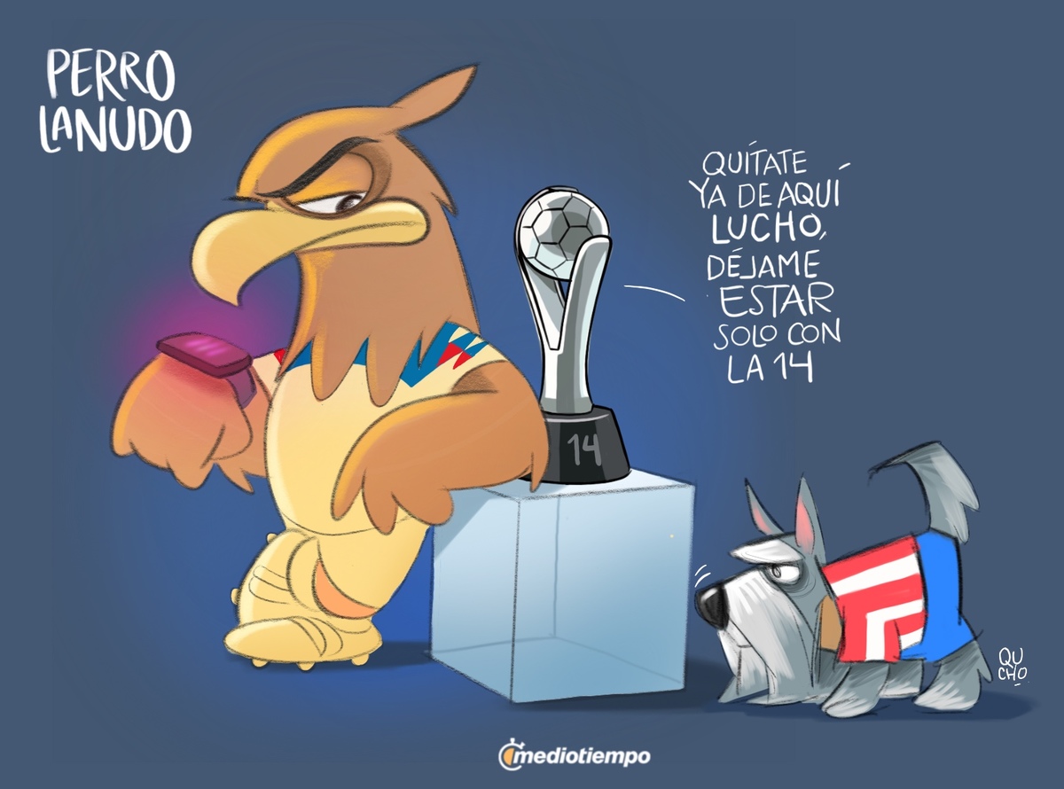 Perro lanudo