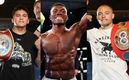 Peleas de BOX para el sábado 16 de diciembre