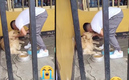 El joven refuerzo de Pumas fue con su perrito a despedirse.