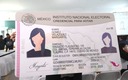 Muestra de la credencial de elector. (INE)