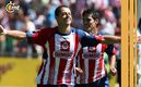 Chicharito regresa a Chivas (Mexsport)
