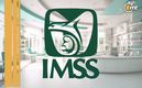 IMSS; qué es el seguro voluntario y cuánto cuesta este 2024