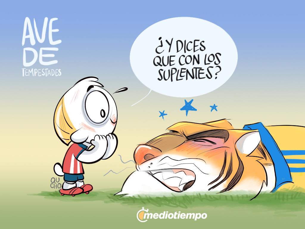 Ave de tempestades