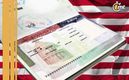 ¿Contratar una empresa para tramitar visa garantiza que me la den?