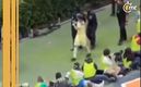 Chicote responde a fans de Chivas (Captura)