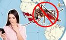 Dengue en México