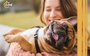 Registra a tu mascota (Foto: Especial)