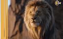 'Mufasa:El Rey León' revelan primera imagen de live-action
