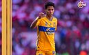 Tigres recupera a Ozziel Herrera para la Liguilla (Mexsport)