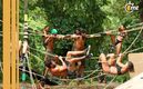 Los competidores luchando por el collar de Inmunidad Individual (X@mexico_survivor)