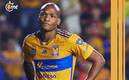 Tigres le busca acomodo a Luis Quiñones (Mexsport)
