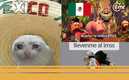 Los memes se hicieron presentes en el México vs Brasil (Foto: Especial)
