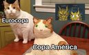 Memes de Copa América y Eurocopa