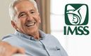 Pagos de pensiones IMSS e ISSSTE para agosto 2024. (FOTO: Especial)