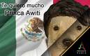 Prisca Awiti se ganó el corazón de todo México (Foto: Especial)