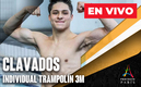 Osmar Olvera en Clavados París 2024| Foto: Especial