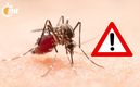 El virus se transmite mediante picaduras (Freepik).