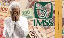 ¿Qué pensionados del IMSS no recibirán aguinaldo en 2024? Descubre el motivo detrás de la decisión