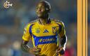 Luis Quiñones pidió salir de Tigres (Imago7)