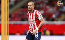 Chicharito Hernández confirmó que sufre de un desgarre (Mexsport)