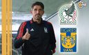 Veljko Paunovic, entrenador de Tigres (Imago7)