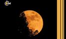 Eclipse Lunar y Super Luna septiembre 2024| Foto: Shutterstock