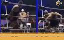 Ursus no la pasó nadie en Querétaro (Foto: Captura)