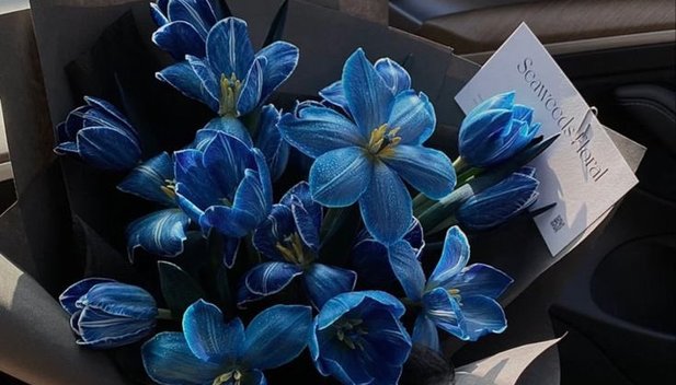 Las flores azules no podían faltar este 3 de octubre (Foto: X)